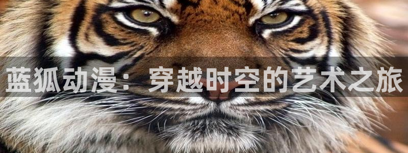 日漫里番推荐：蓝狐动漫：穿越时空的艺术之旅