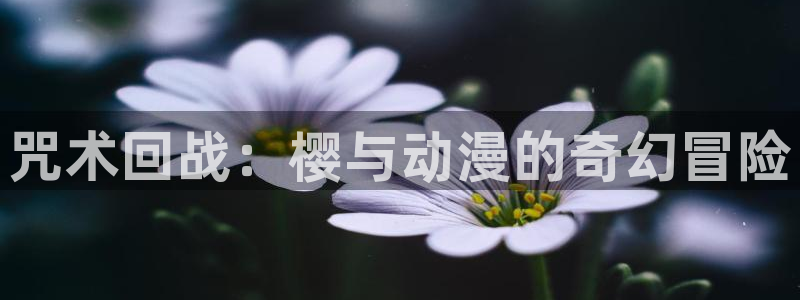 有什么动漫里番动漫
