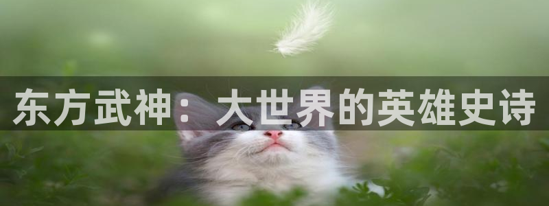 肉里番动漫