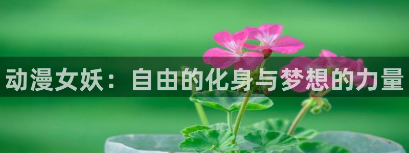 里番动漫在线网