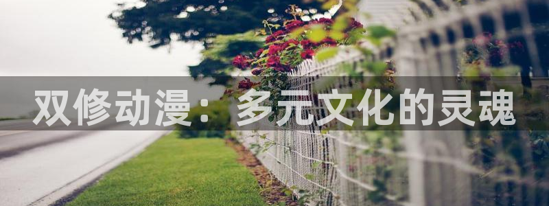 天天动漫里番