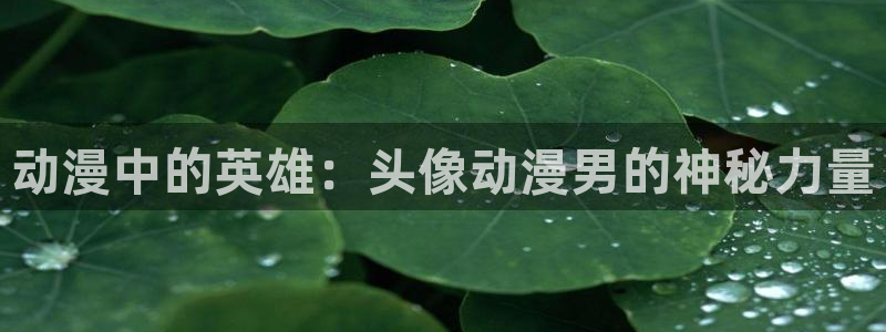 动漫里番h