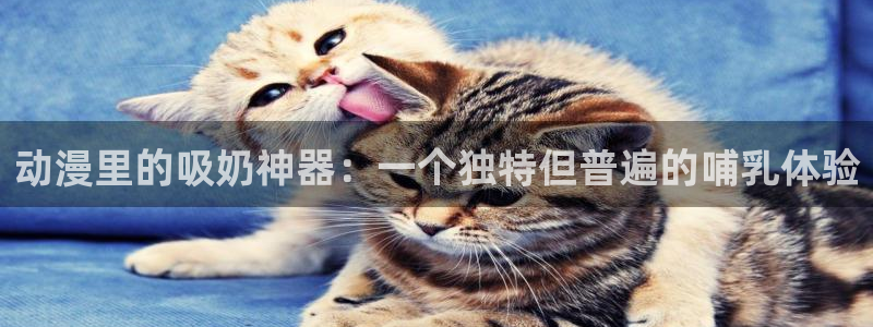 日本里番