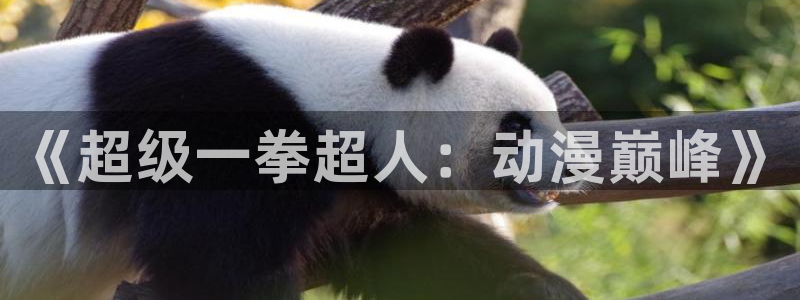 里番动漫观看