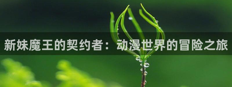 3d里番动漫在线网站