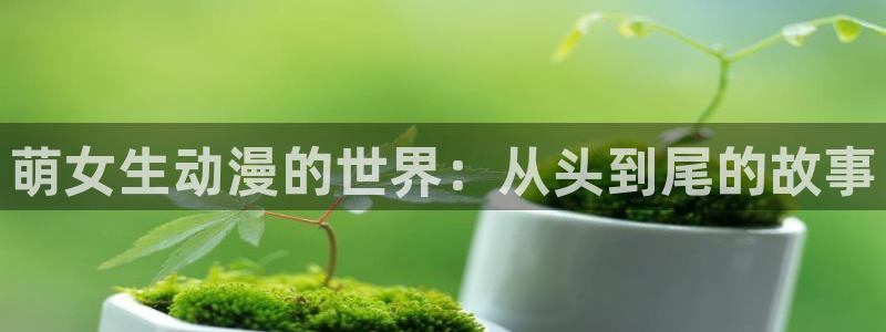 里番动漫在线观看视频