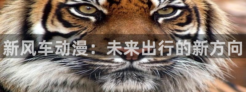 日本动漫里番