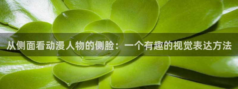 5月里番动漫