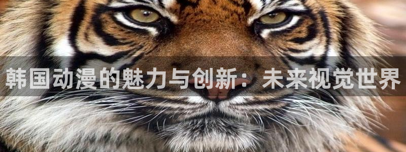里番动漫介绍：韩国动漫的魅力与创新：未来视觉世界