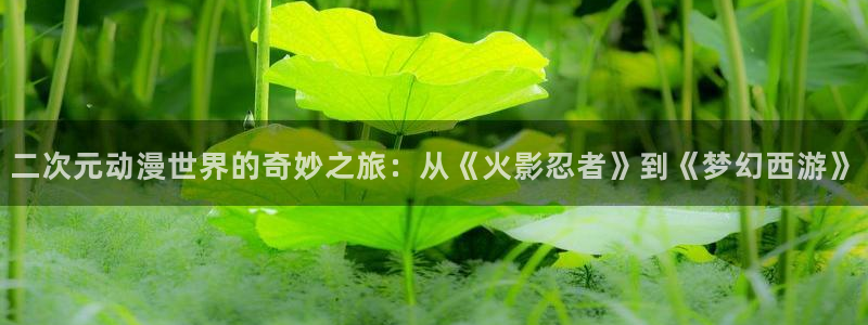 动漫电影里番：二次元动漫世界的奇妙之旅：从《火影忍者》到《梦幻西游》