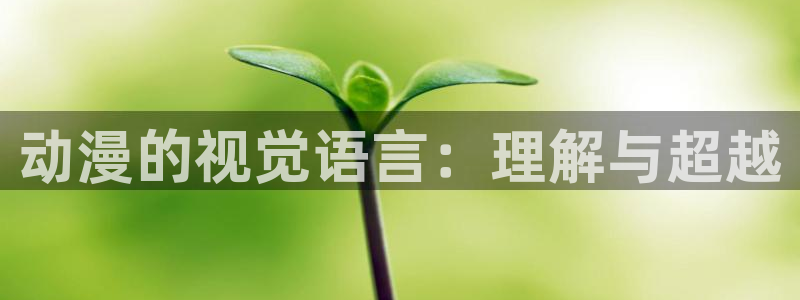 里番库漫画在线观看：动漫的视觉语言：理解与超越