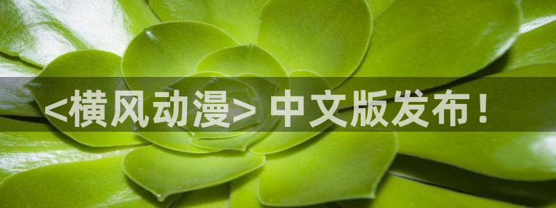 acg里番动漫网：<横风动漫> 中文版发布！