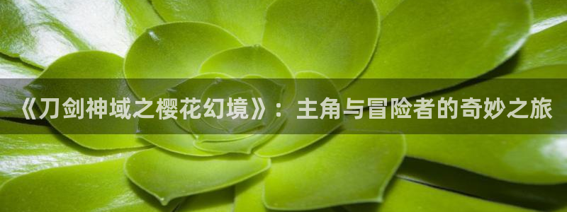里番动漫绅士：《刀剑神域之樱花幻境》：主角与冒险者的奇妙之旅