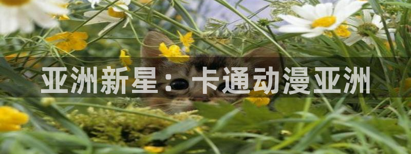 里番动漫ntr：亚洲新星：卡通动漫亚洲