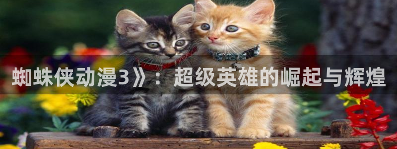 看里番动漫的软件：蜘蛛侠动漫3》：超级英雄的崛起与辉煌