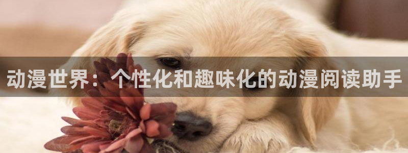 有什么好看的里番：动漫世界：个性化和趣味化的动漫阅读助手