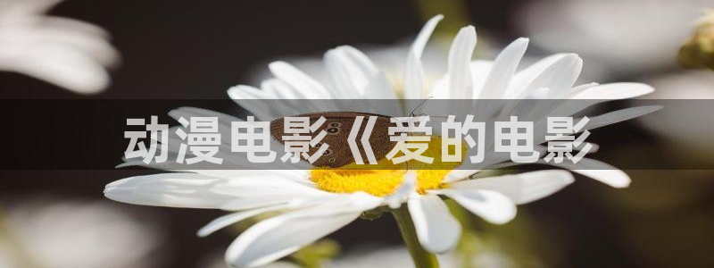 里番动漫第一页：动漫电影《爱的电影