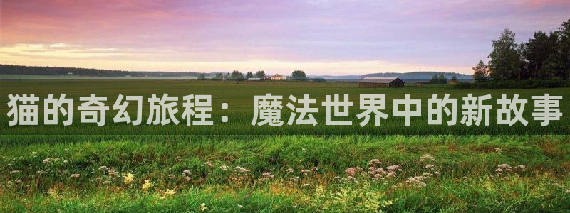 里番大全动漫：猫的奇幻旅程：魔法世界中的新故事