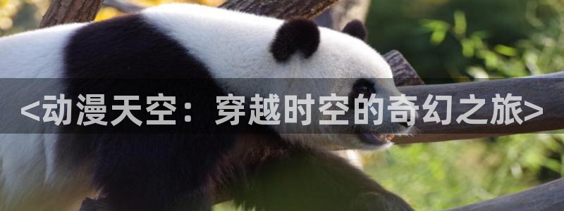 里番动漫在线网：<动漫天空：穿越时空的奇幻之旅>