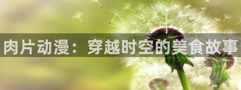 动漫旧里番