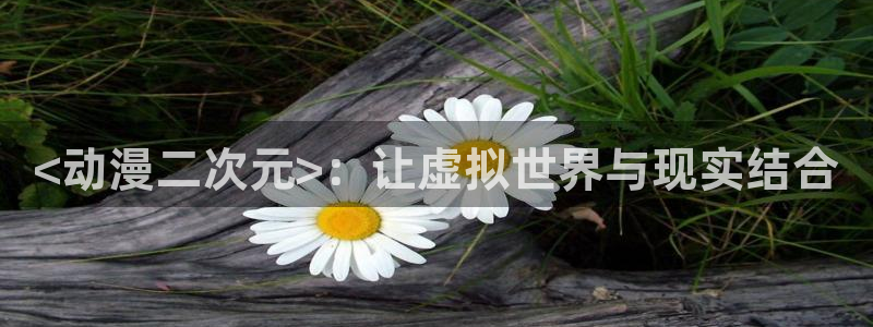 成人里番动漫