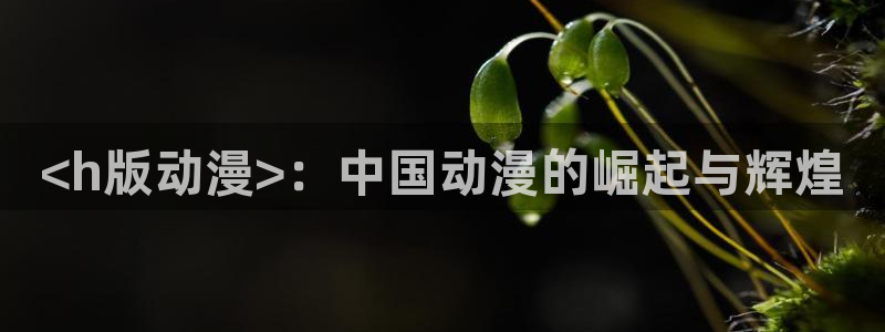 里番动漫免费下载