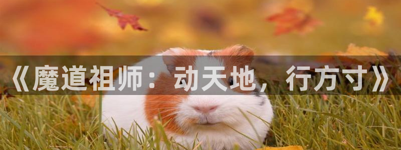 动漫里番推荐网站