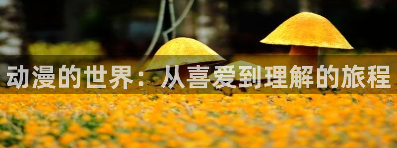 求里番动漫网站