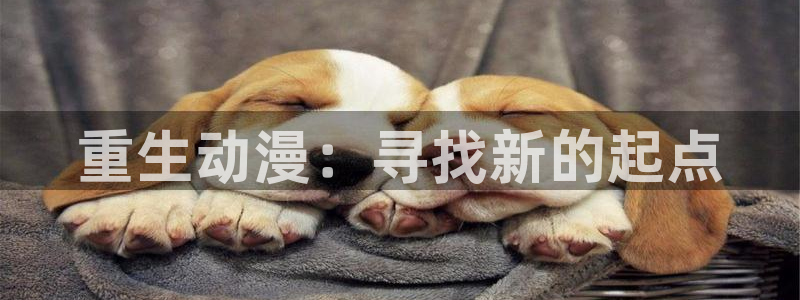里番动漫最新