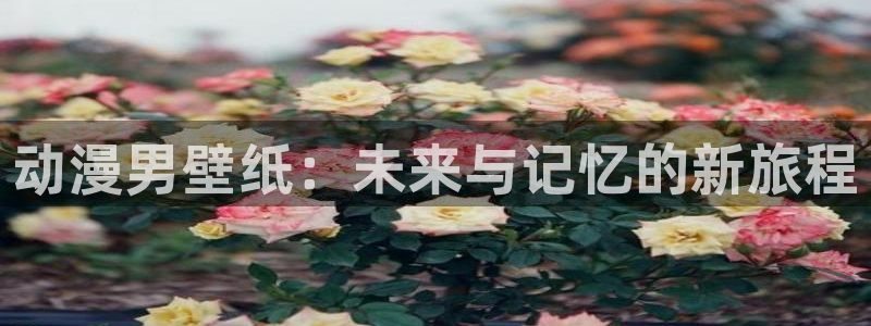 里番口工漫画：动漫男壁纸：未来与记忆的新旅程