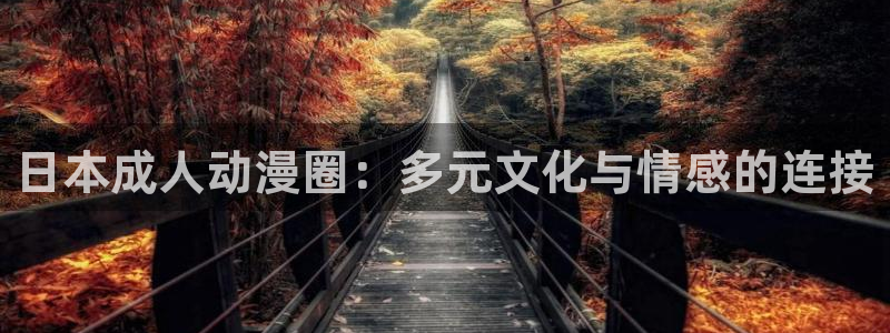 2025里番动漫：日本成人动漫圈：多元文化与情感的连接